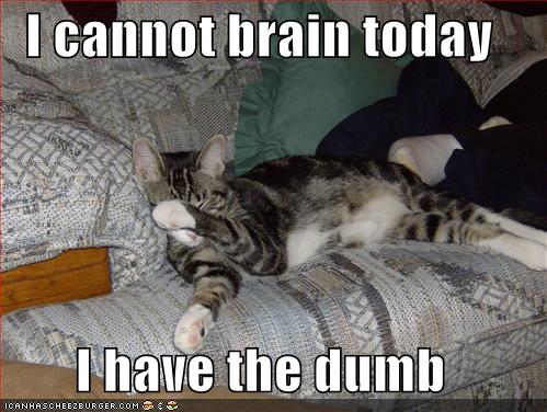 I cannot brain today.  I have the dumb.